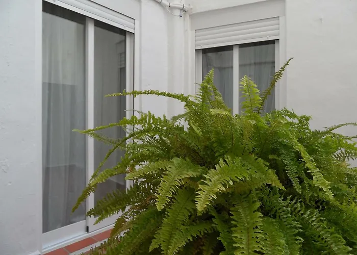 La Peluqueria Córdoba