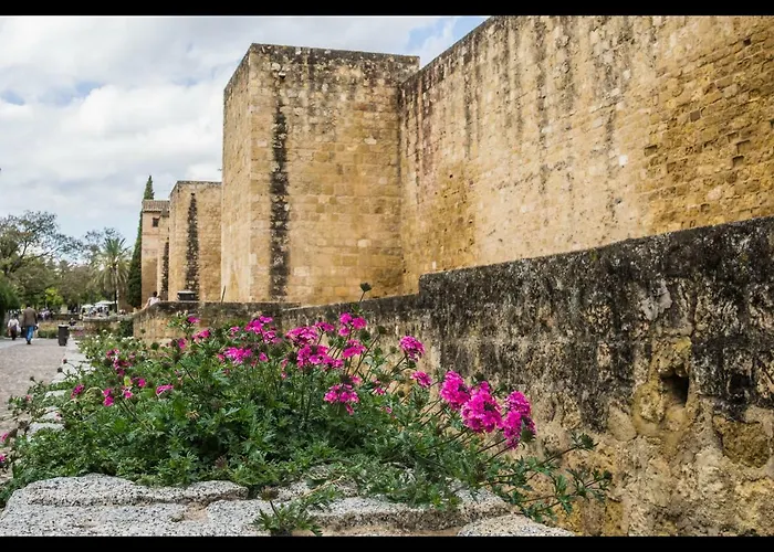 La Peluqueria Córdoba