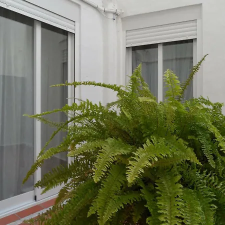 La Peluqueria 코르도바