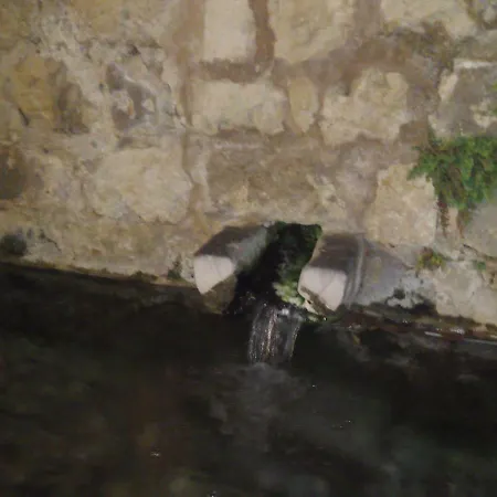 Daire La Peluqueria *